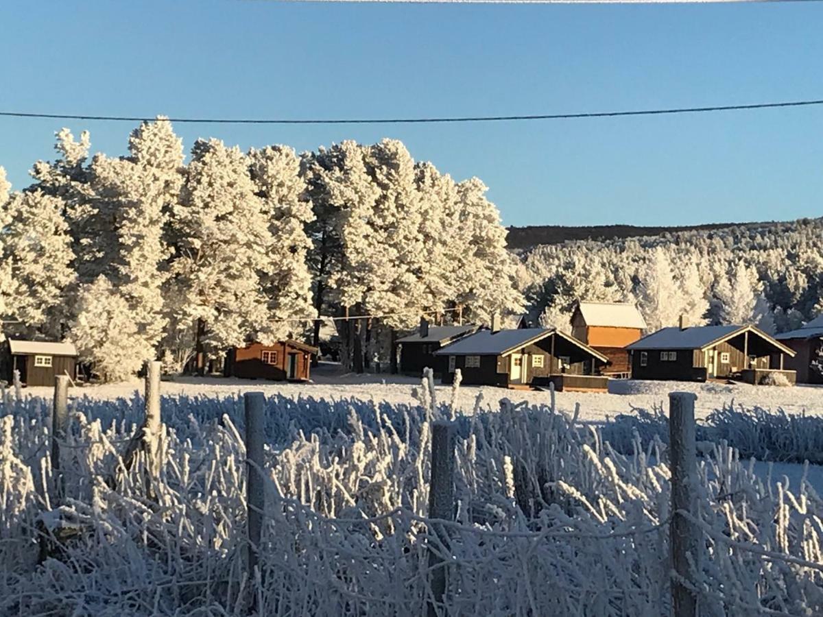 Roste Hyttetun Og Camping Os (Hedmark) Exterior foto